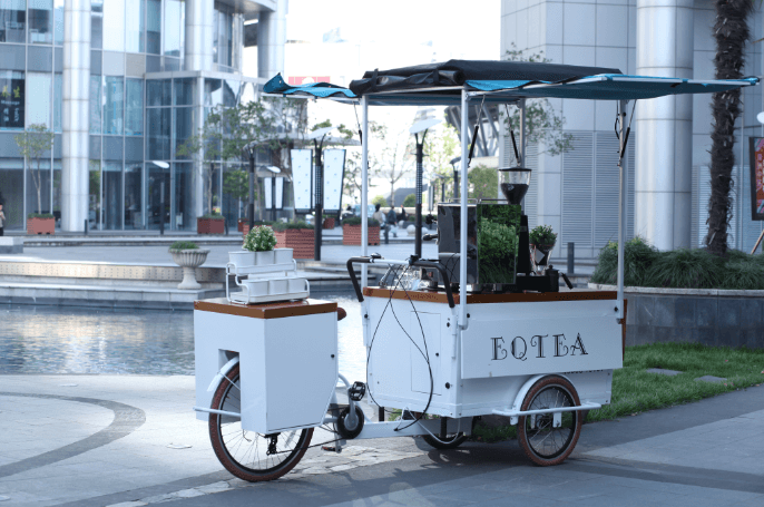 China Golden Supplier EQT Food bike For Sale